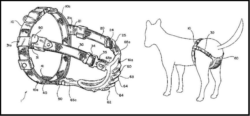 Types Of Patent Drawings And Their Importance