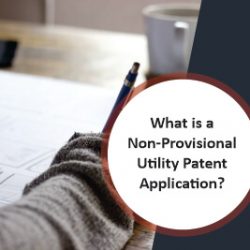 What is a Non-Provisional Utility Patent Application