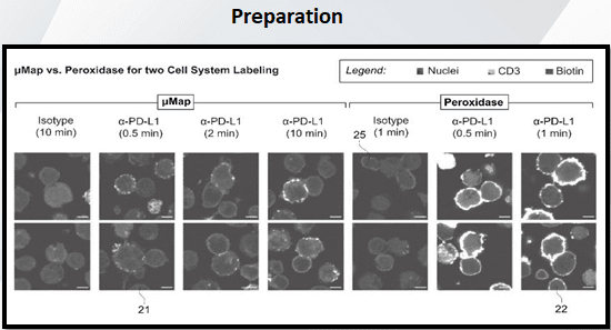 preparation-avoid-epo-rejections-in-patent drawings