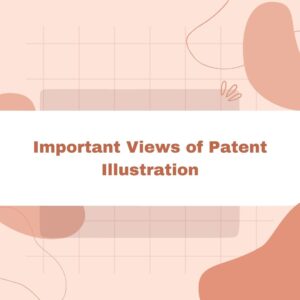 Views of patent illustration