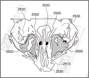 Biotechnological Patent Drawing Example 2