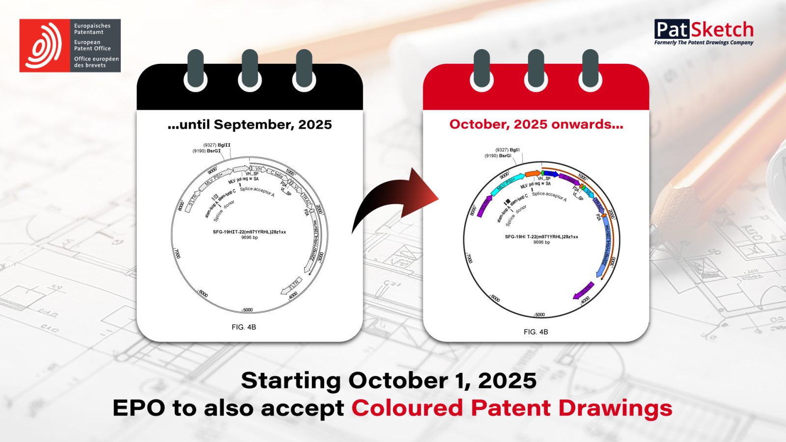 EPO Compliant Color Drawings